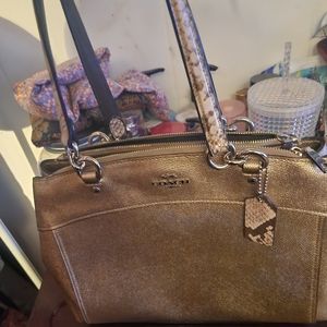 Small Coach Purse with Snake Skin Straps